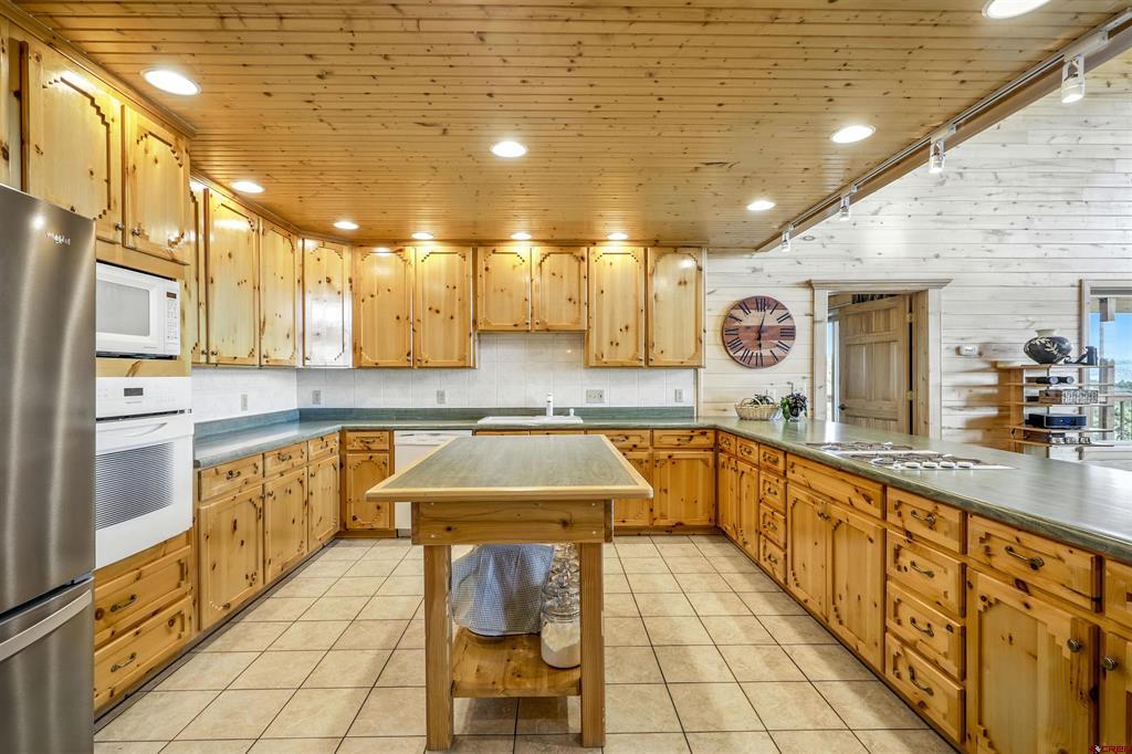 1100 Soaring Eagle Court Chromo CO 81128