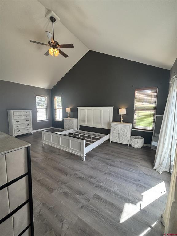 3161 Silver Fox Drive Montrose CO 81401