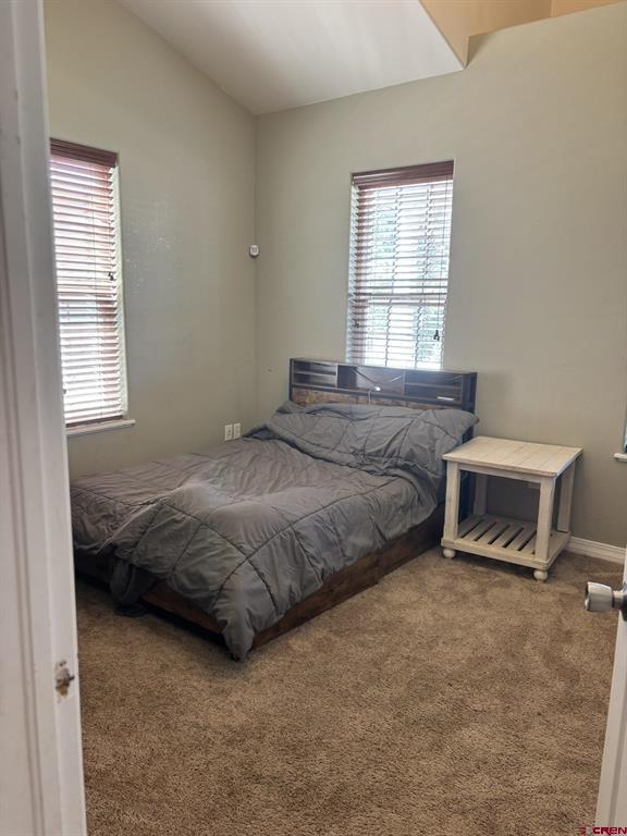 3161 Silver Fox Drive Montrose CO 81401