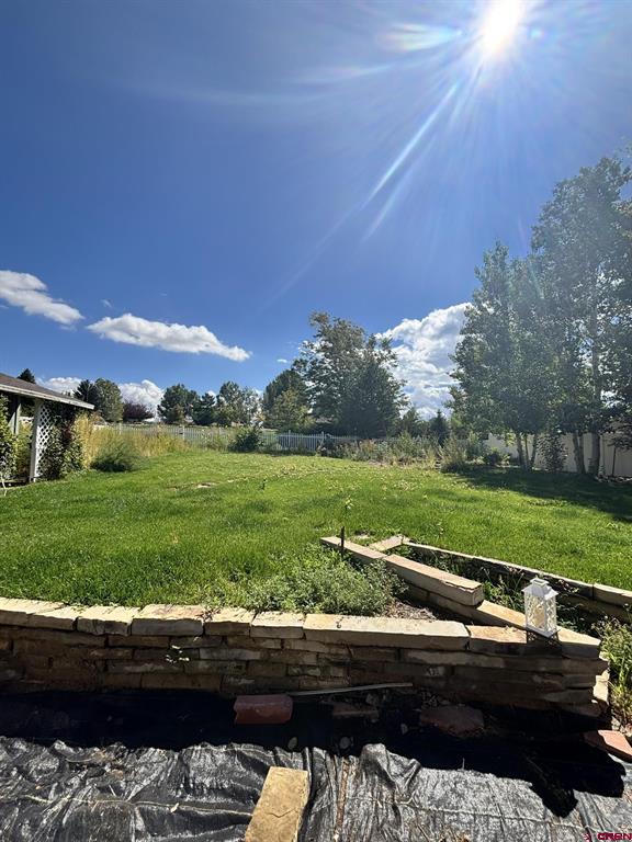 3161 Silver Fox Drive Montrose CO 81401