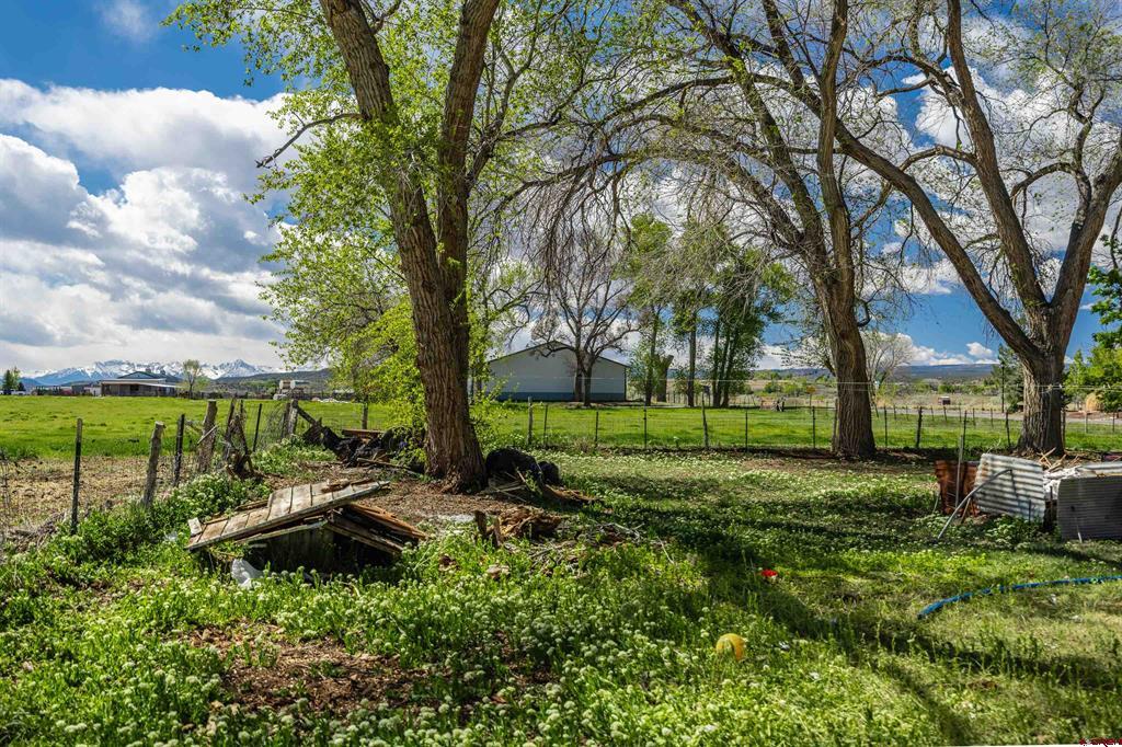 17174 6450 Road Montrose CO 81403