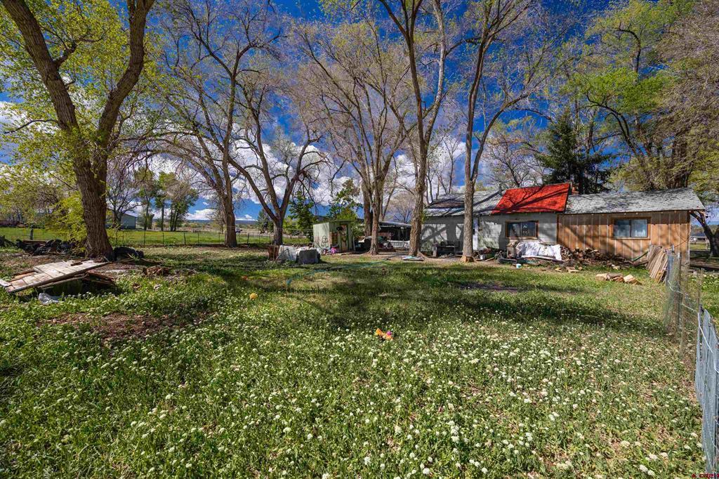 17174 6450 Road Montrose CO 81403