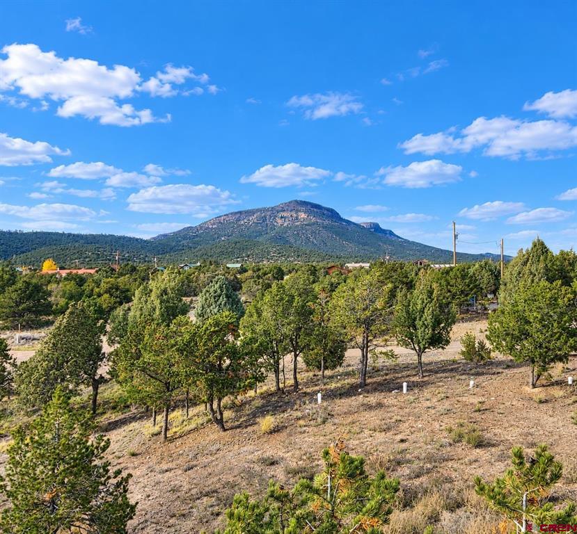 216 Berthoud Pass Road South Fork CO 81154