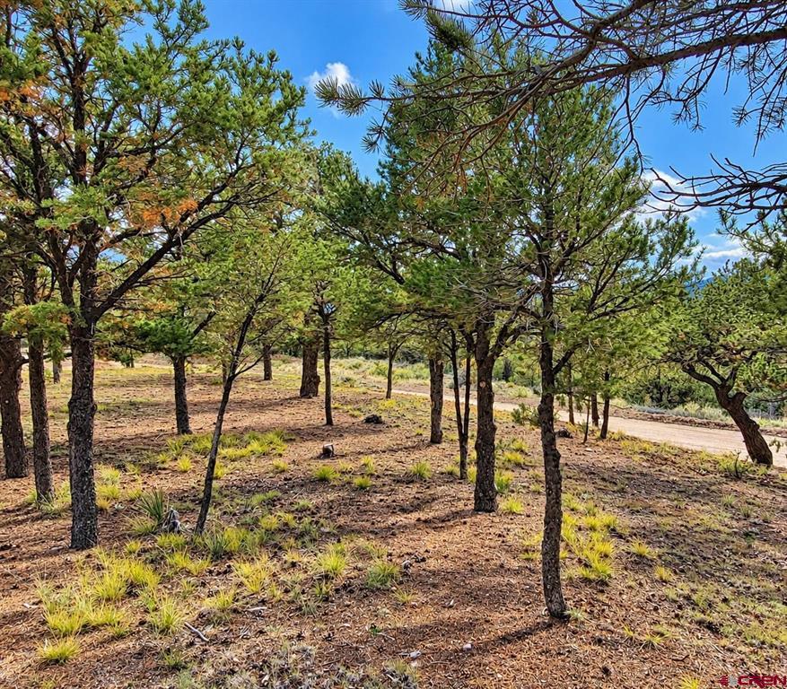 216 Berthoud Pass Road South Fork CO 81154
