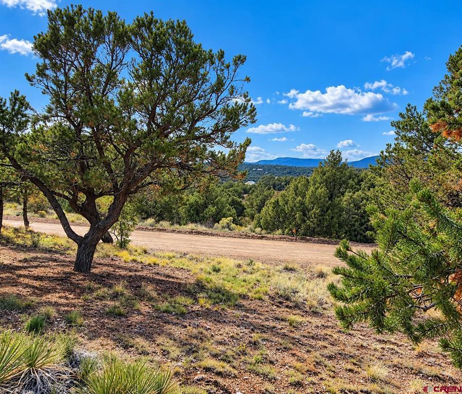 216 Berthoud Pass Road South Fork CO 81154