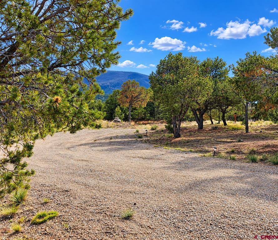 216 Berthoud Pass Road South Fork CO 81154