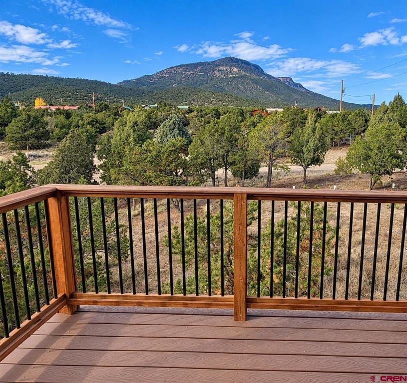 216 Berthoud Pass Road South Fork CO 81154