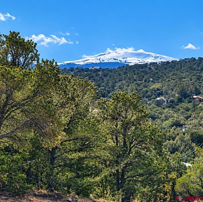 216 Berthoud Pass Road South Fork CO 81154