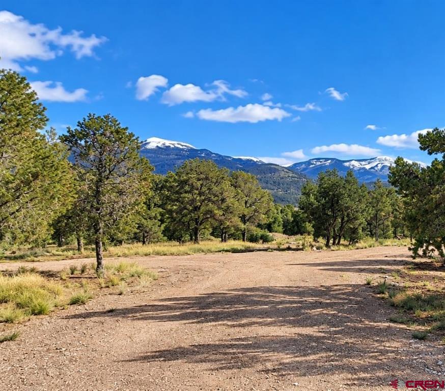 216 Berthoud Pass Road South Fork CO 81154