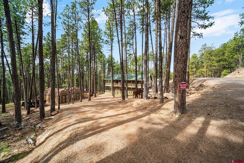 310 Timber Drive Bayfield CO 81122