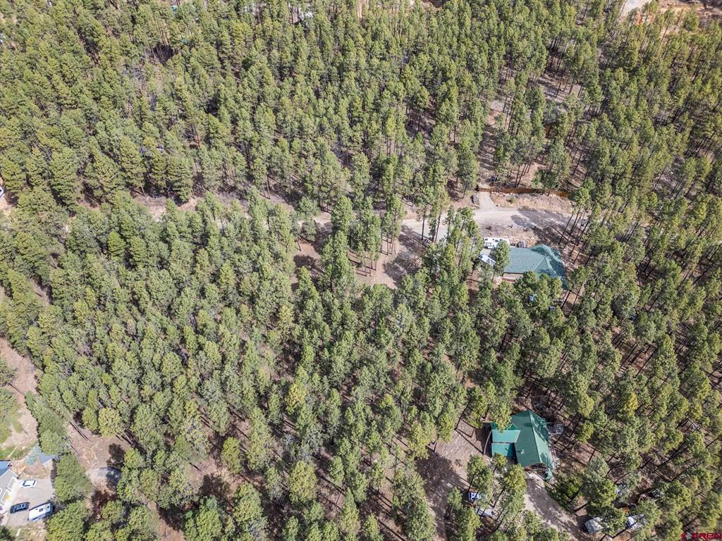 310 Timber Drive Bayfield CO 81122