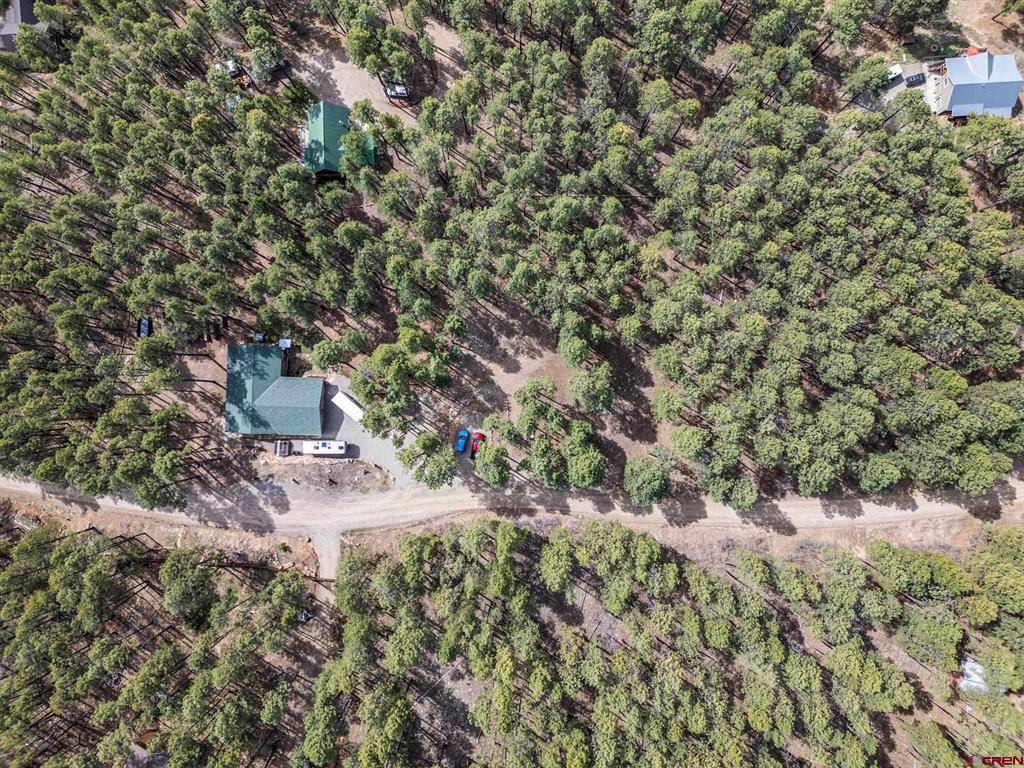 310 Timber Drive Bayfield CO 81122