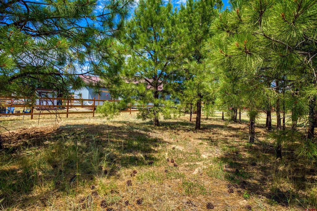 24 Musket Court Pagosa Springs CO 81147