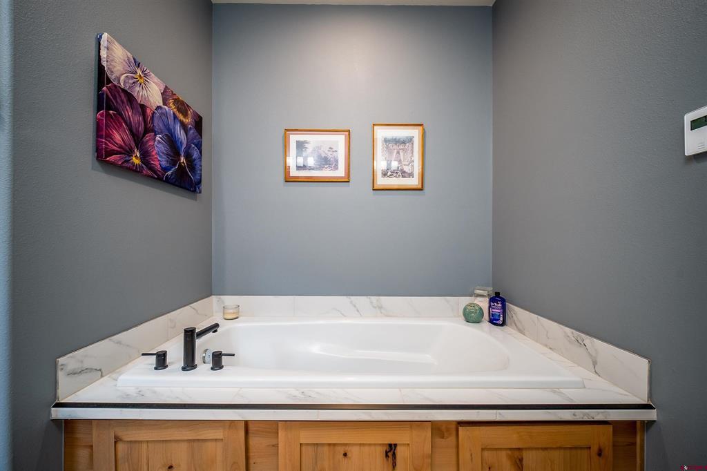 37 Penstock Court Durango CO 81301