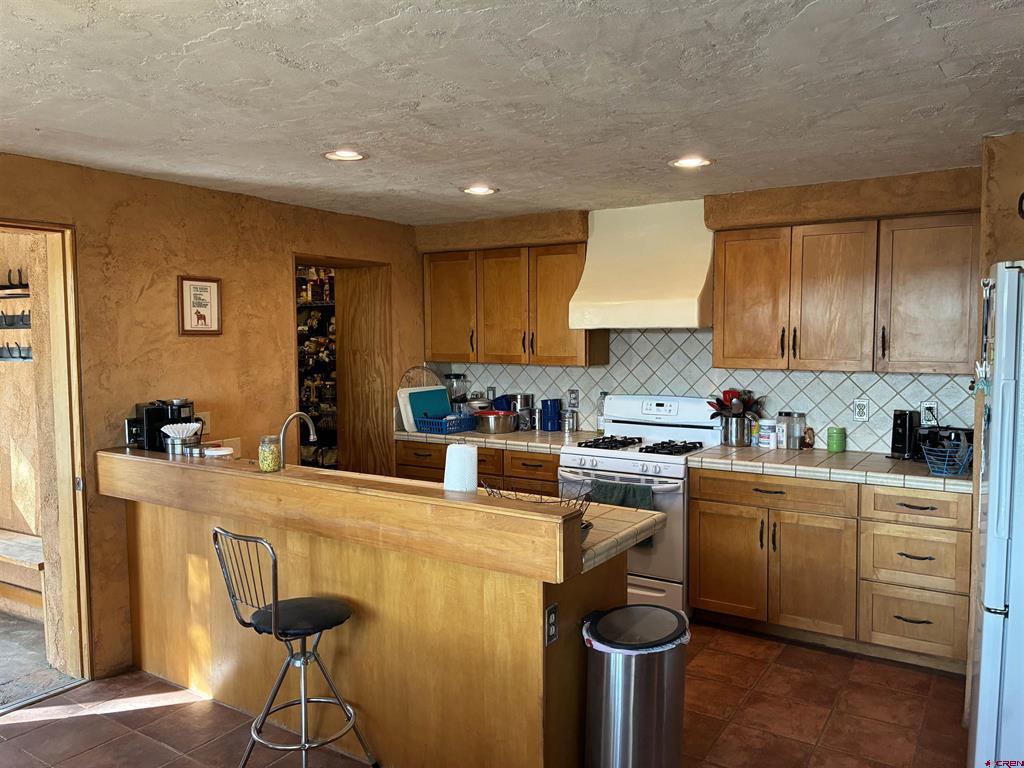 2623 County Road 12.5 Antonito CO 81120