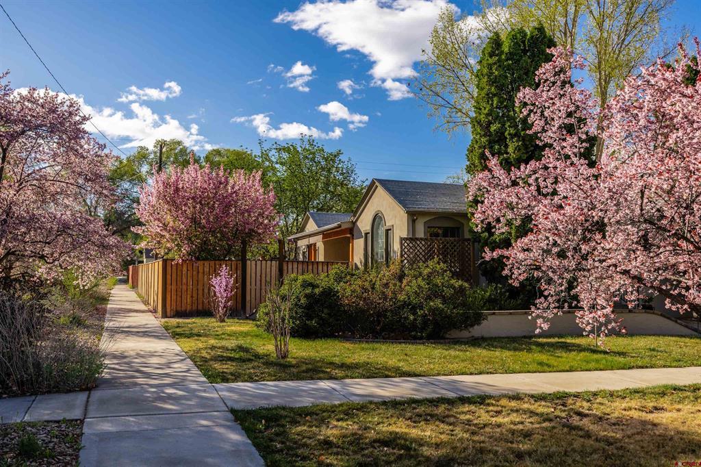 1146 S 2nd Montrose CO 81401
