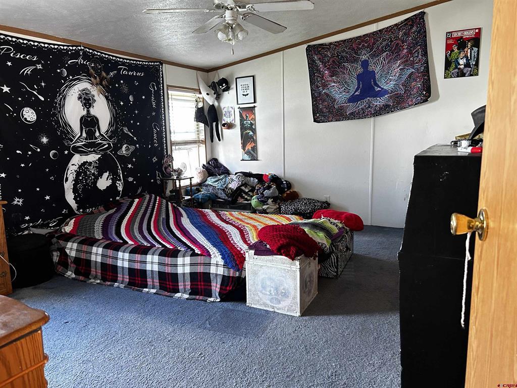 903 Harrison Street Monte Vista CO 81144