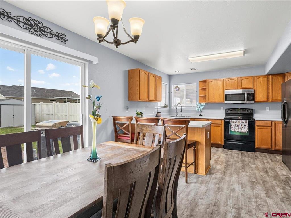 824 Cow Bell Court Montrose CO 81401