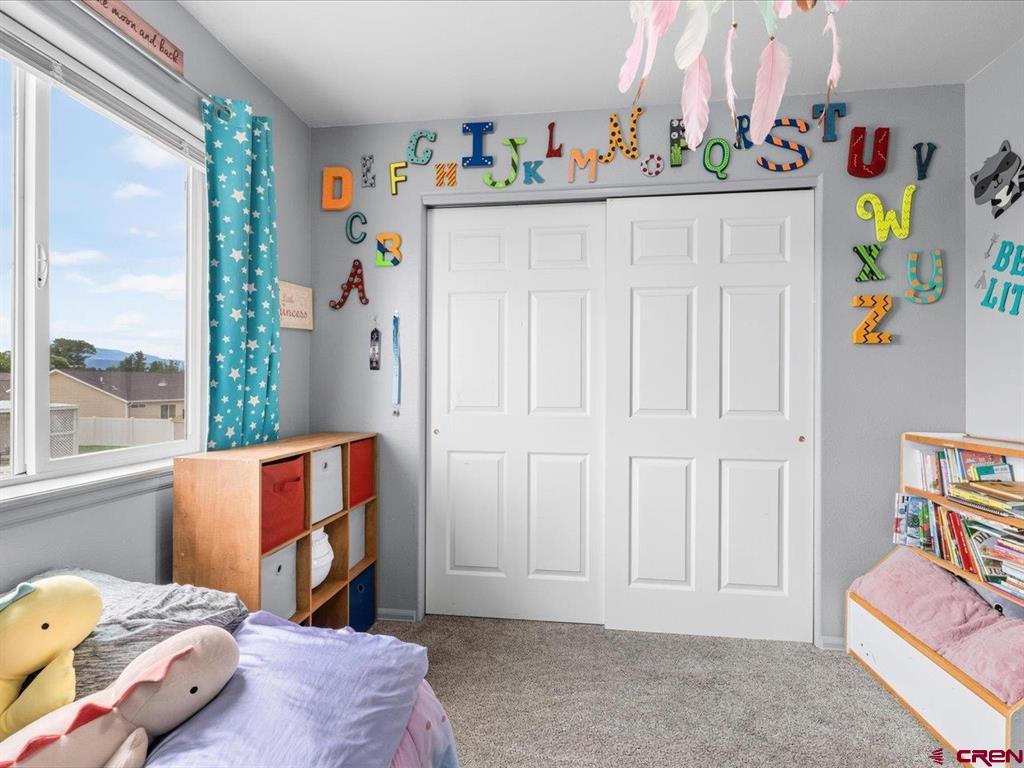 824 Cow Bell Court Montrose CO 81401