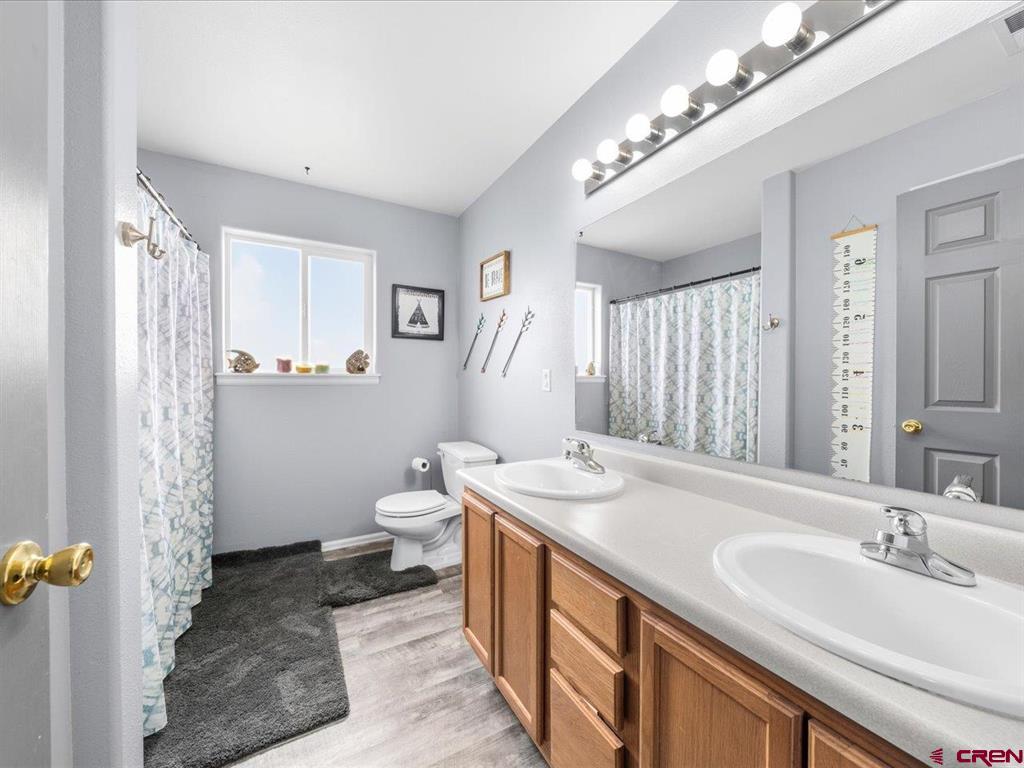 824 Cow Bell Court Montrose CO 81401