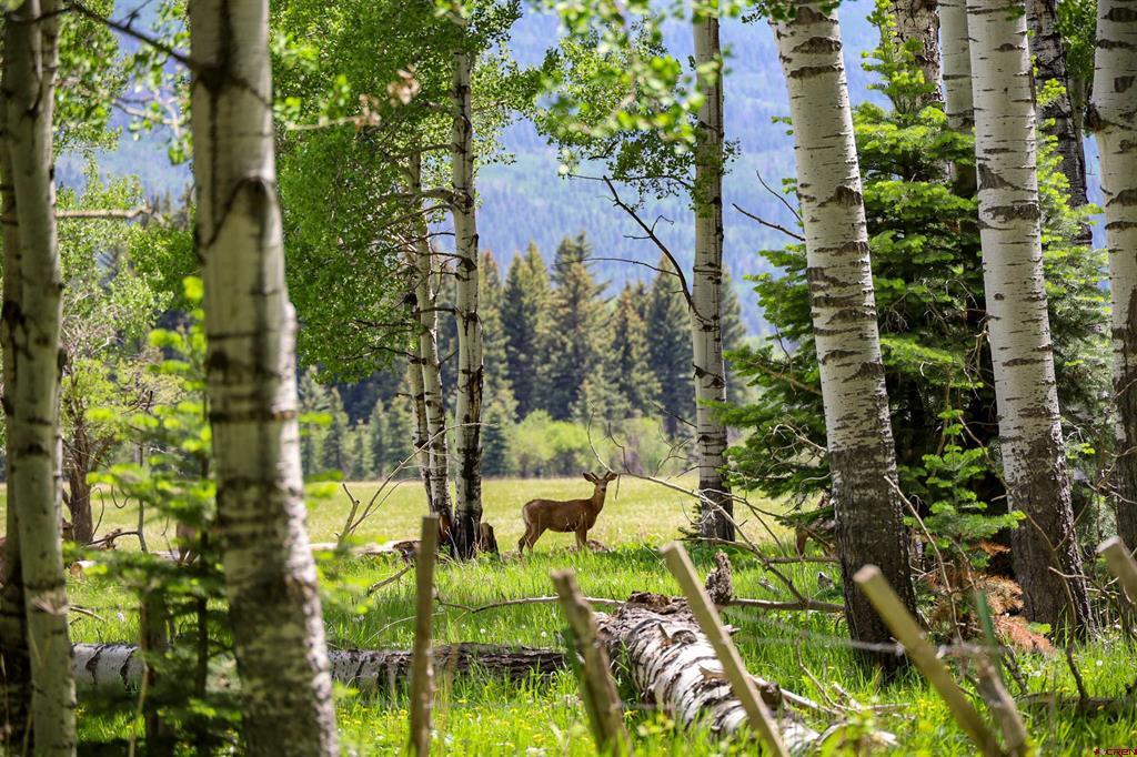 13750A County Road 326 Pagosa Springs CO 81147