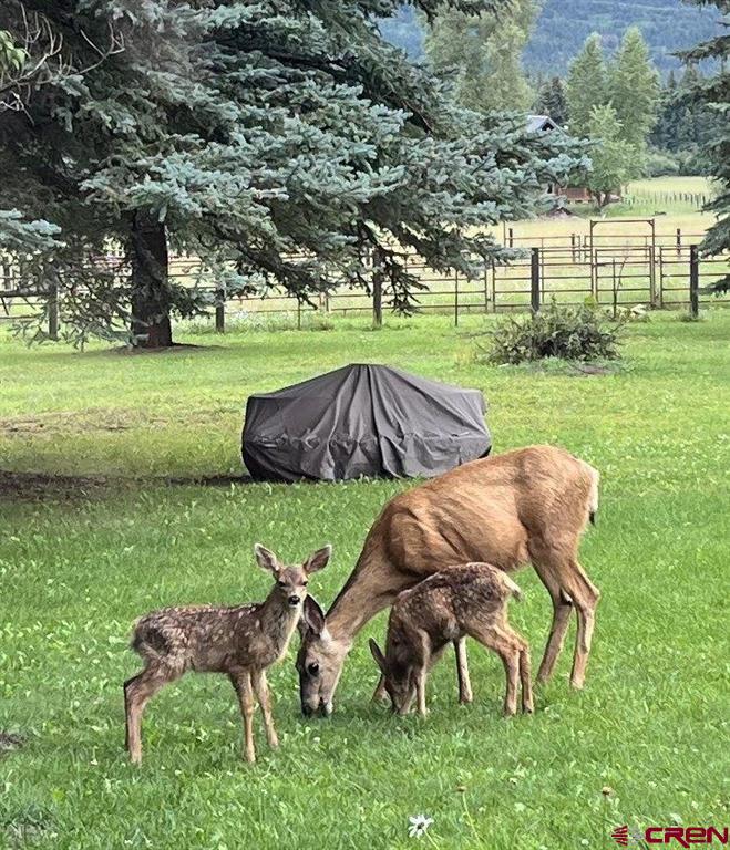 13750A County Road 326 Pagosa Springs CO 81147