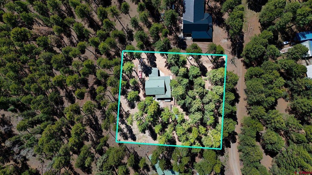 426 Deer Trail Lane Bayfield CO 81122
