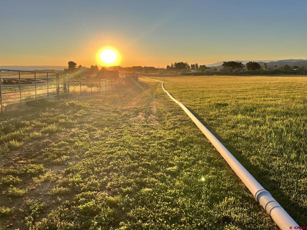 69557 Highway 50 Montrose CO 81401