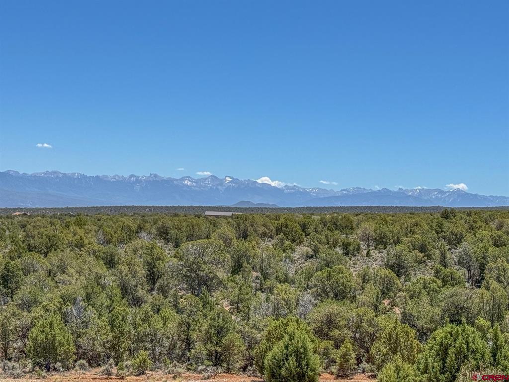 61505 V60 Trail Montrose CO 81403
