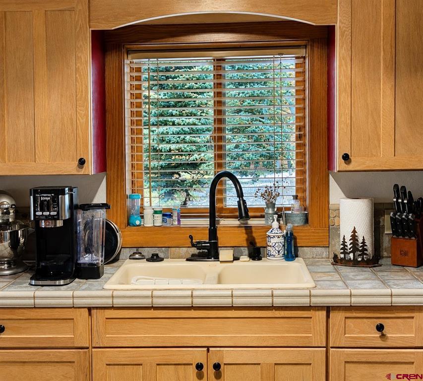 1830 Aspen Circle South Fork CO 81154