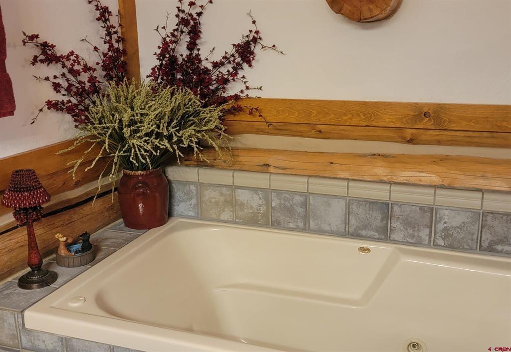 1830 Aspen Circle South Fork CO 81154