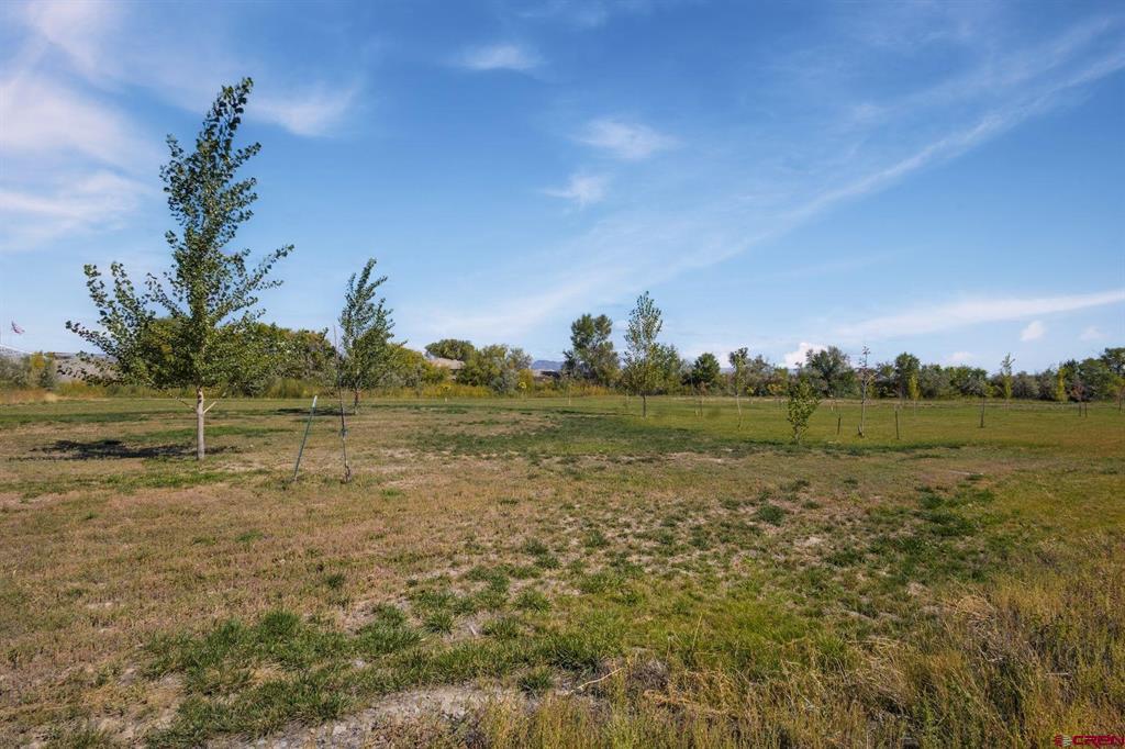 62951 Lasalle Road Montrose CO 81401