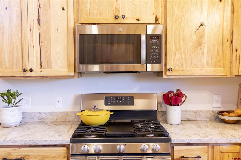 448 Homestake Drive Creede CO 81130
