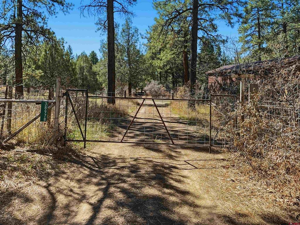 38978 County Road P Mancos CO 81328