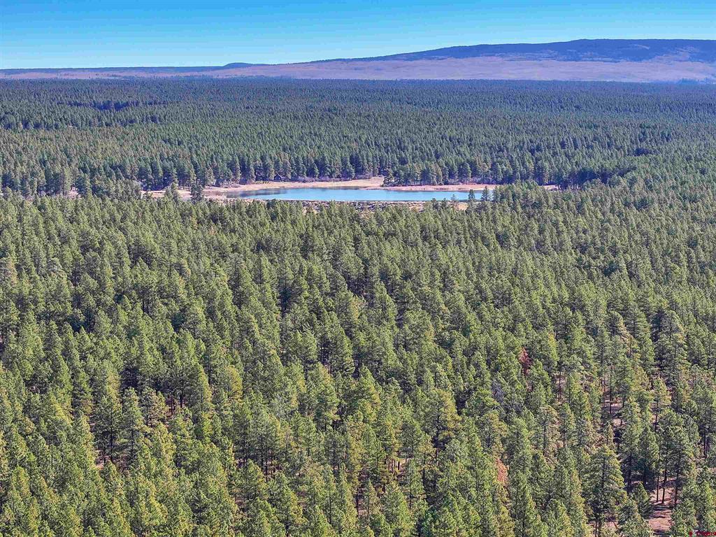 38978 County Road P Mancos CO 81328