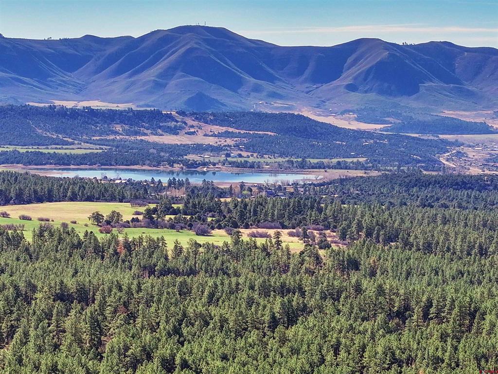 38978 County Road P Mancos CO 81328