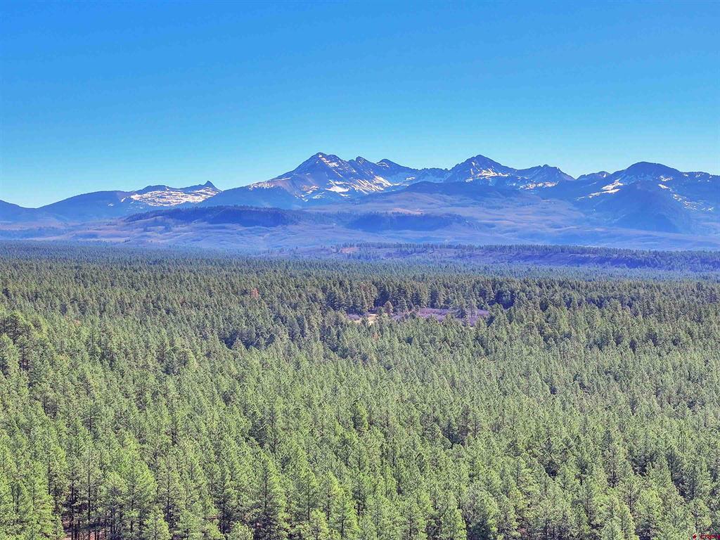 38978 County Road P Mancos CO 81328