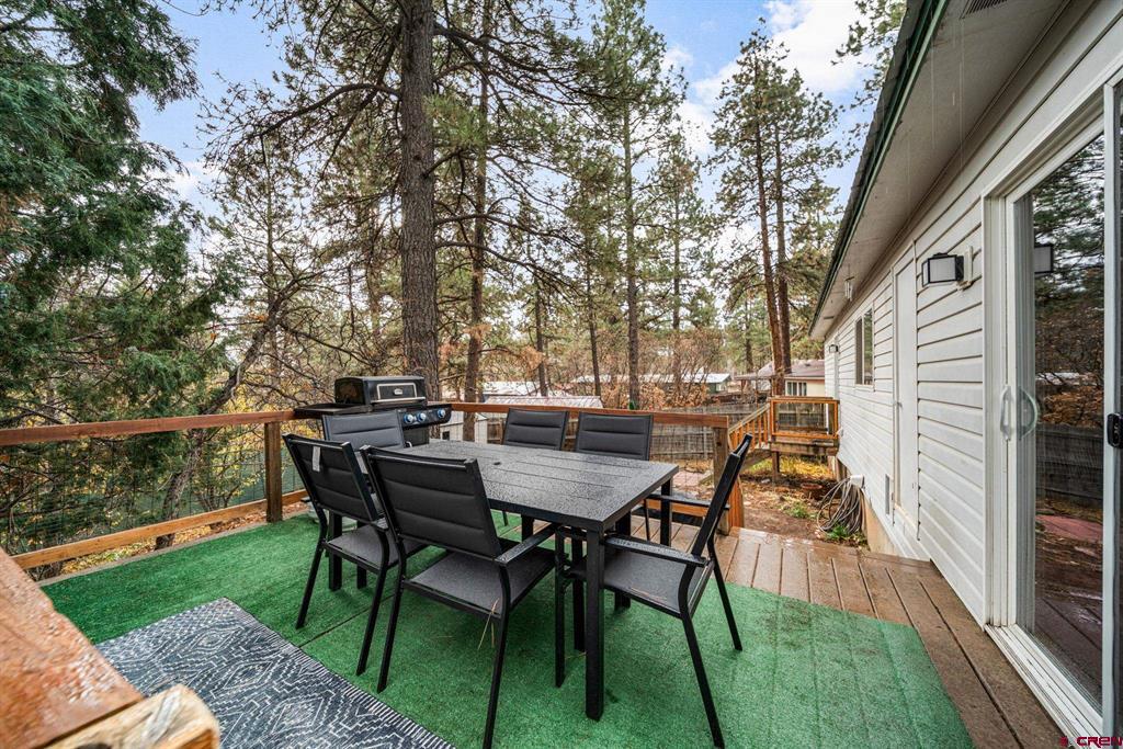 199 Timber Drive Durango CO 81303