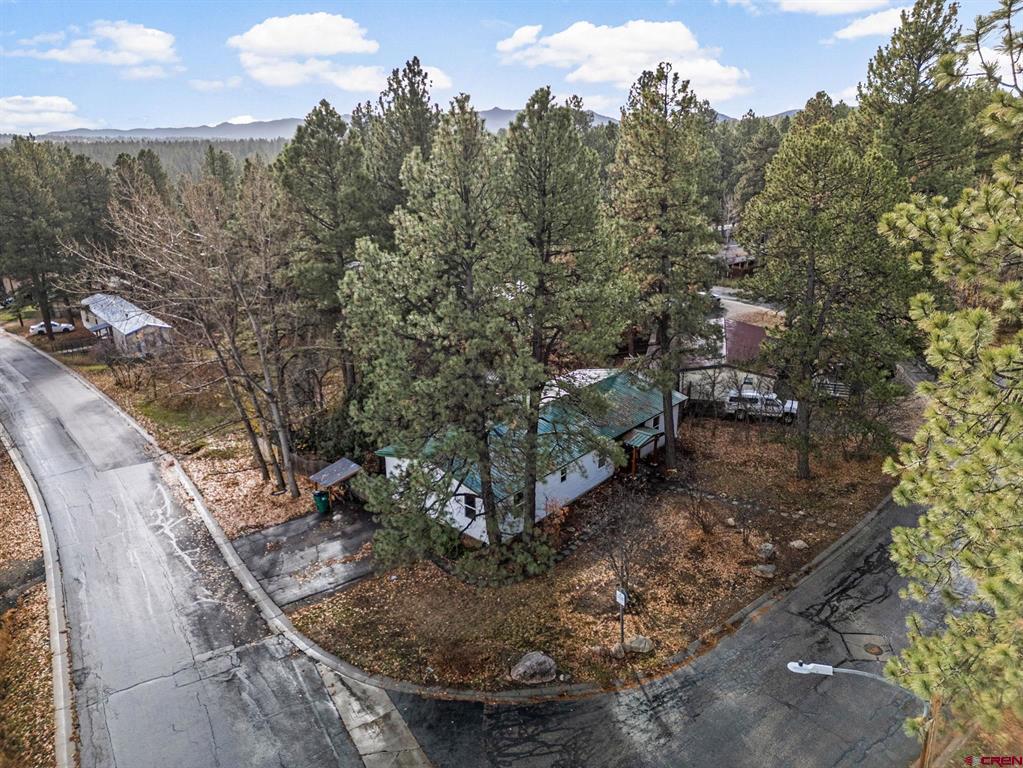 199 Timber Drive Durango CO 81303