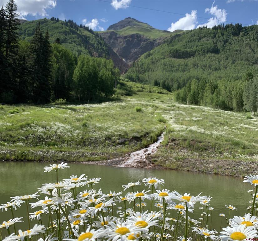 3543 Highway 550 Ouray CO 81427