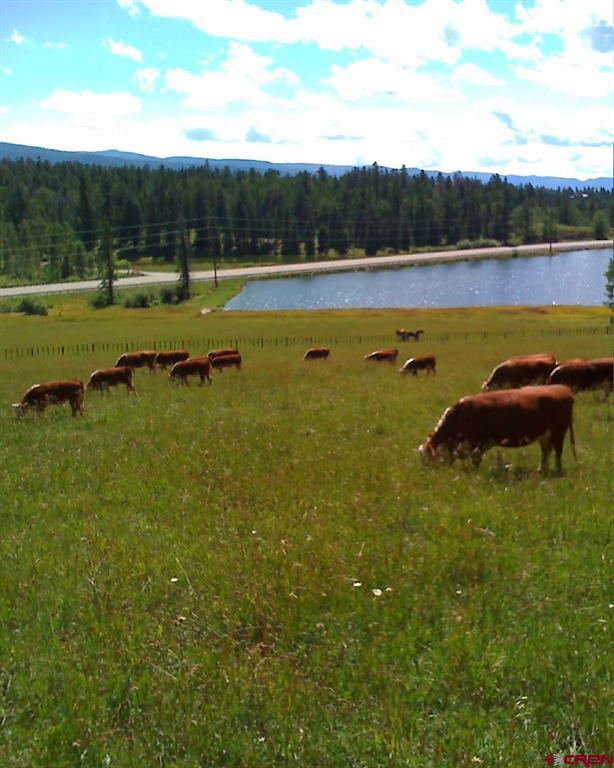 47632 N Highway 550 Durango CO 81301