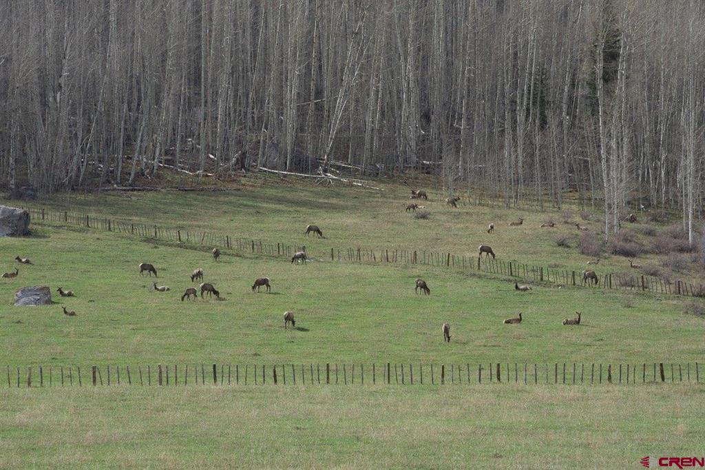 47632 N Highway 550 Durango CO 81301
