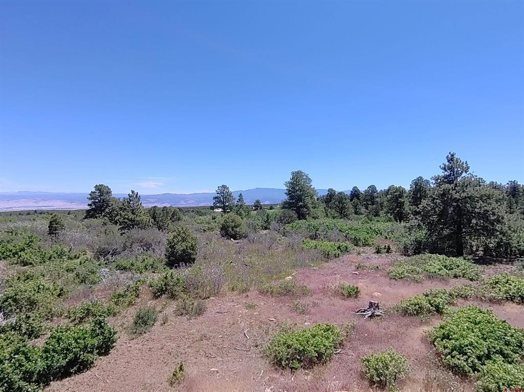1748 Dave Wood Road Montrose CO 81403
