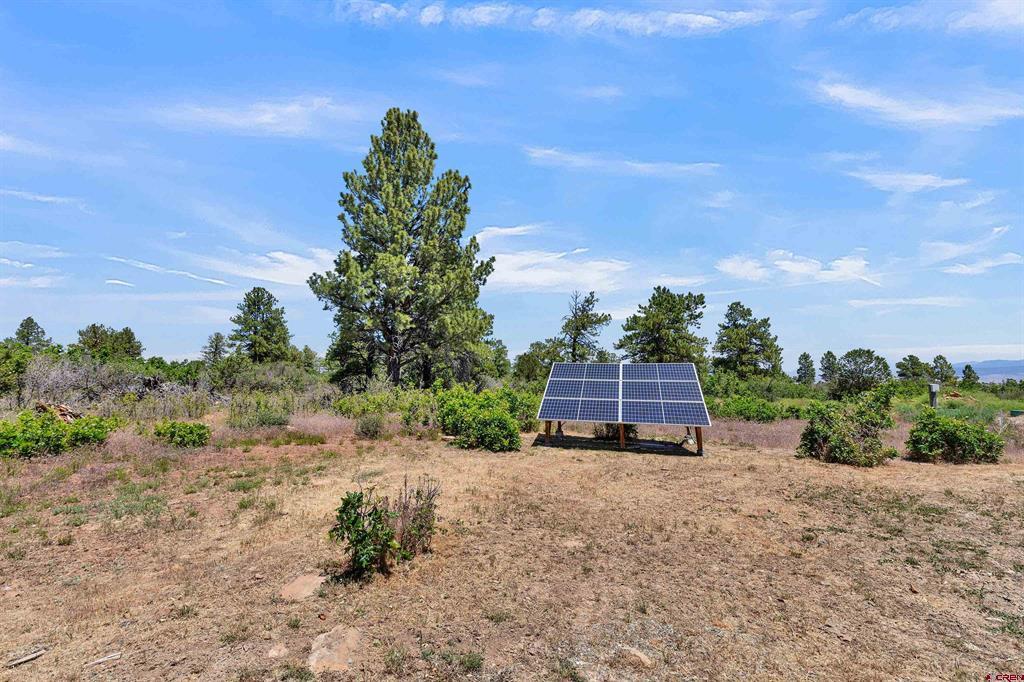 1748 Dave Wood Road Montrose CO 81403
