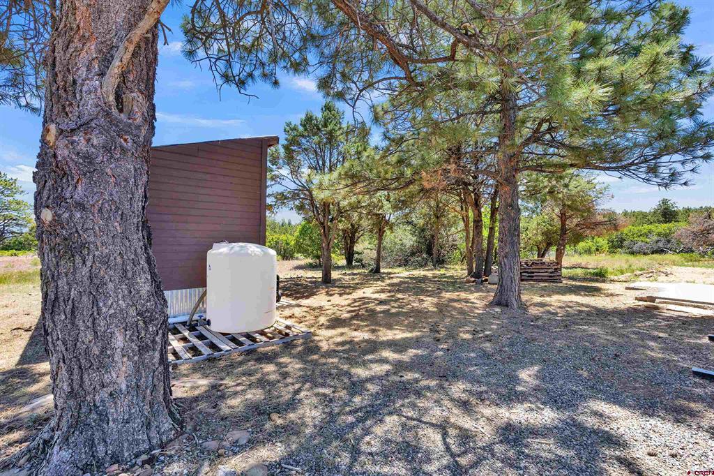 1748 Dave Wood Road Montrose CO 81403