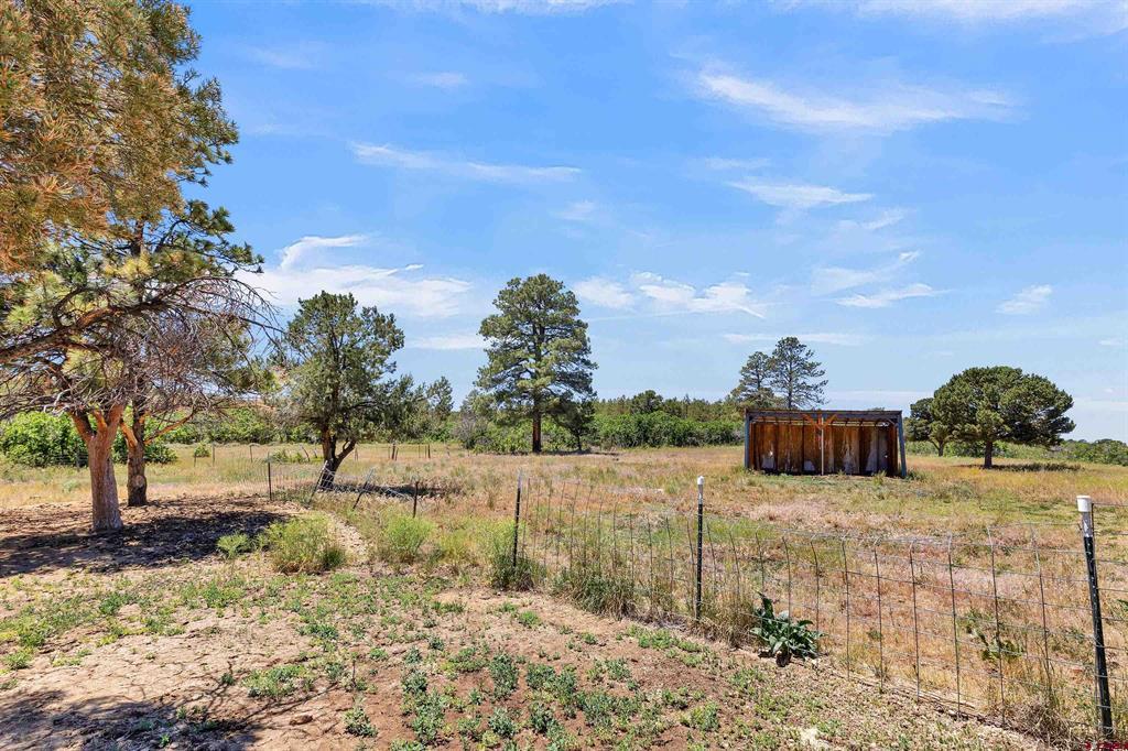1748 Dave Wood Road Montrose CO 81403