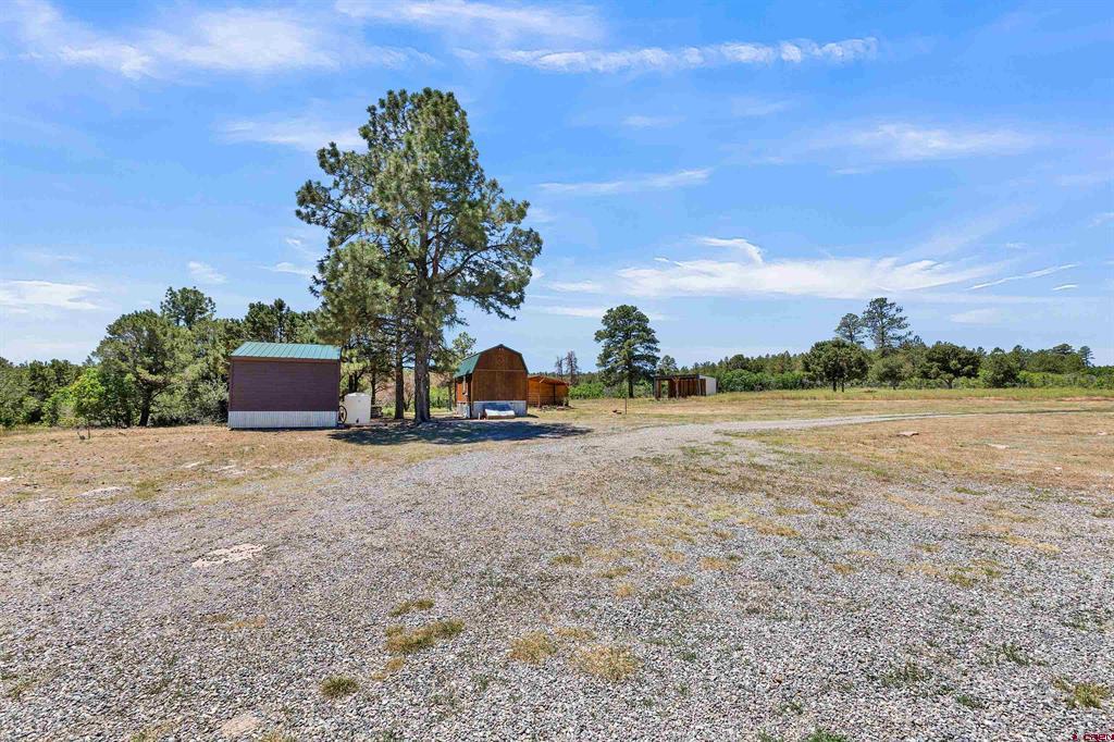 1748 Dave Wood Road Montrose CO 81403