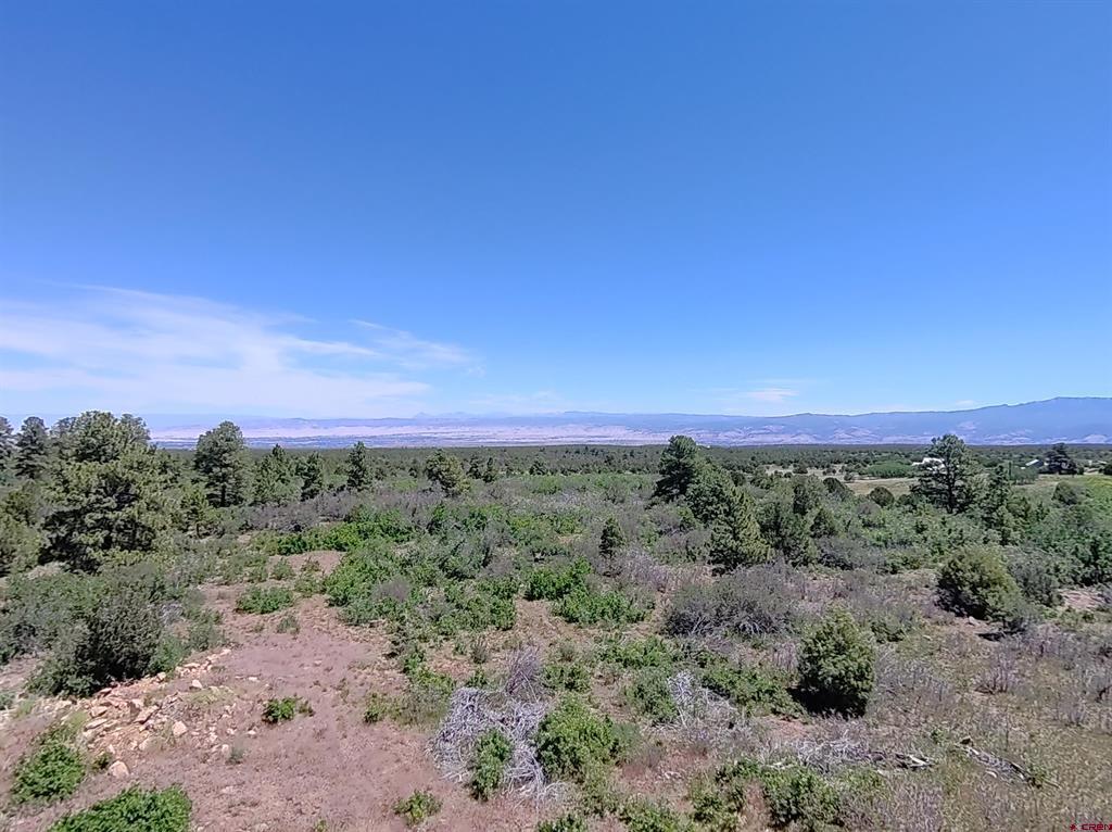 1748 Dave Wood Road Montrose CO 81403