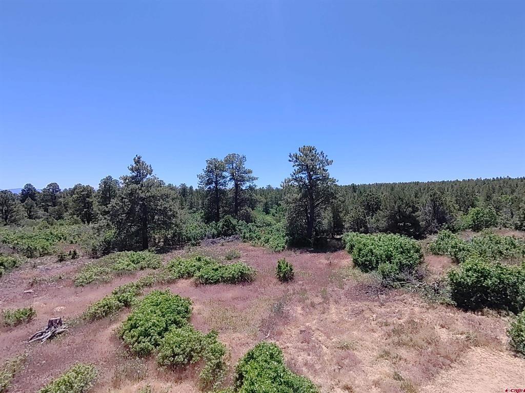 1748 Dave Wood Road Montrose CO 81403