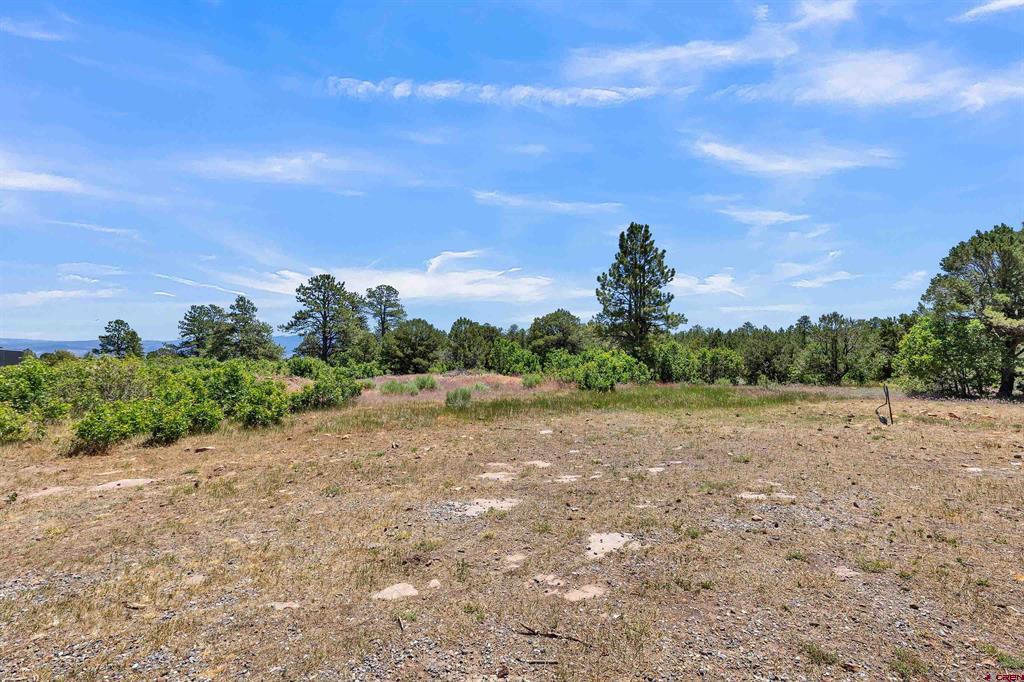 1748 Dave Wood Road Montrose CO 81403